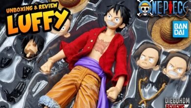 Imagination Works Luffy